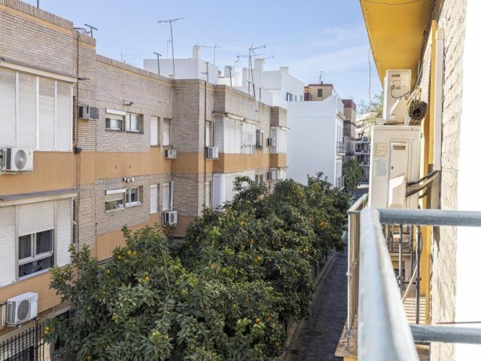 Pureza Dreams De Sevilla Oasis En Triana Exterior photo